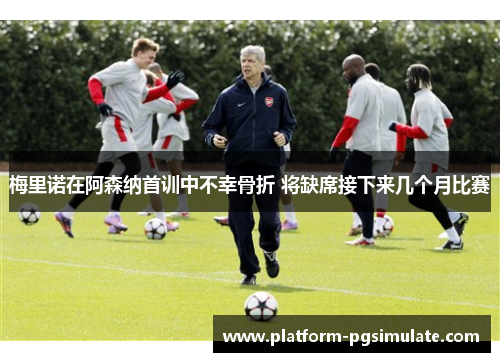 梅里诺在阿森纳首训中不幸骨折 将缺席接下来几个月比赛