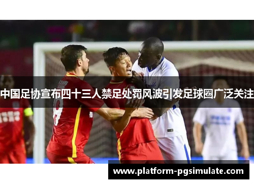 中国足协宣布四十三人禁足处罚风波引发足球圈广泛关注